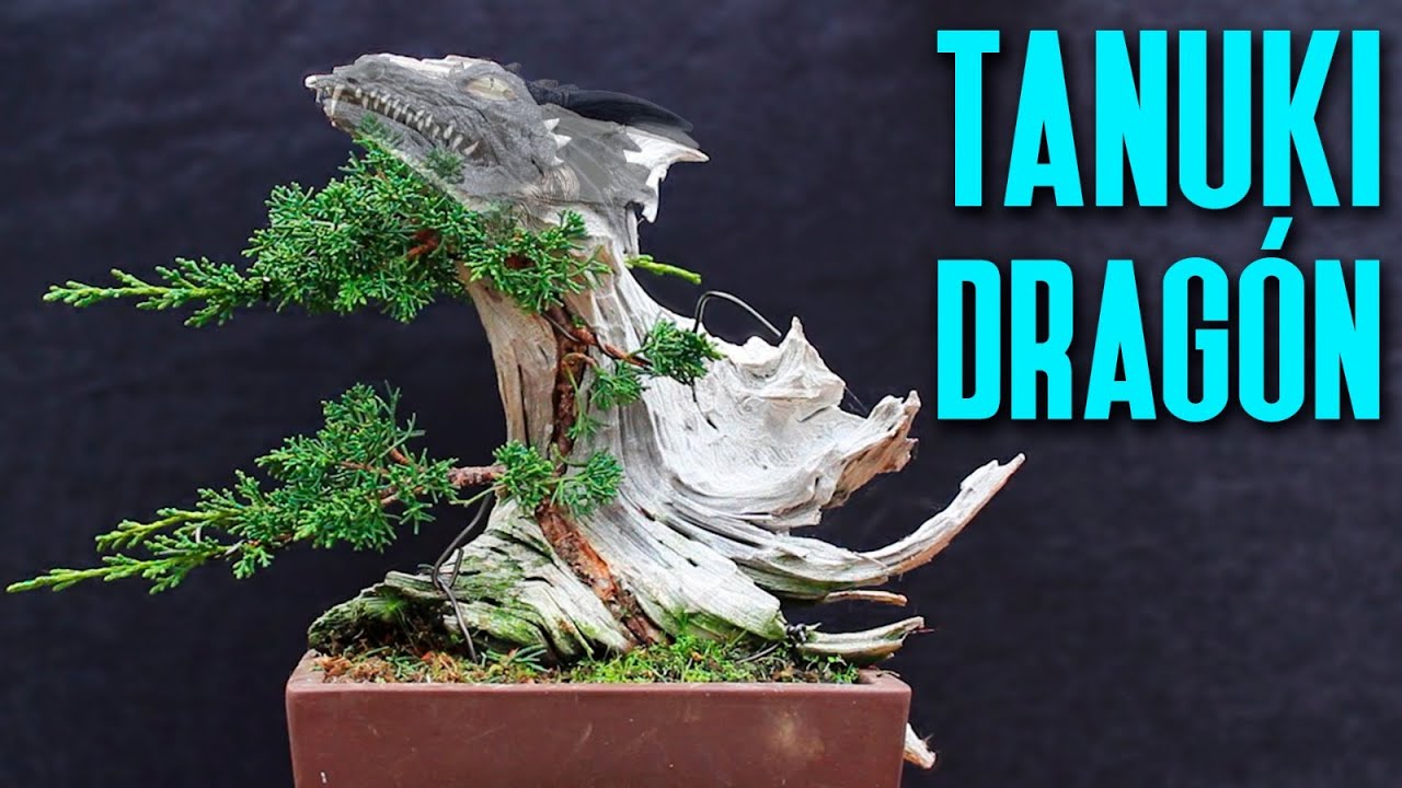 Tanuki dragón - primer trabajo de diseño