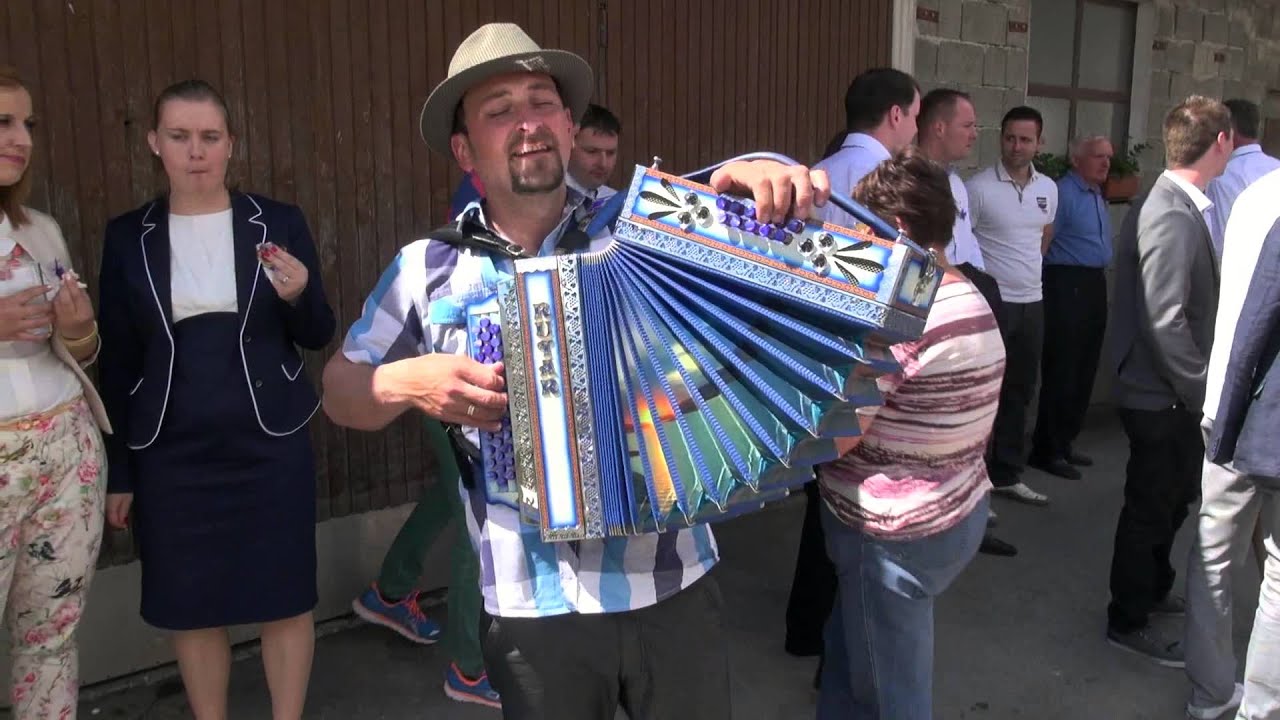 Silvo Pliberšek-Tri planike (v živo)