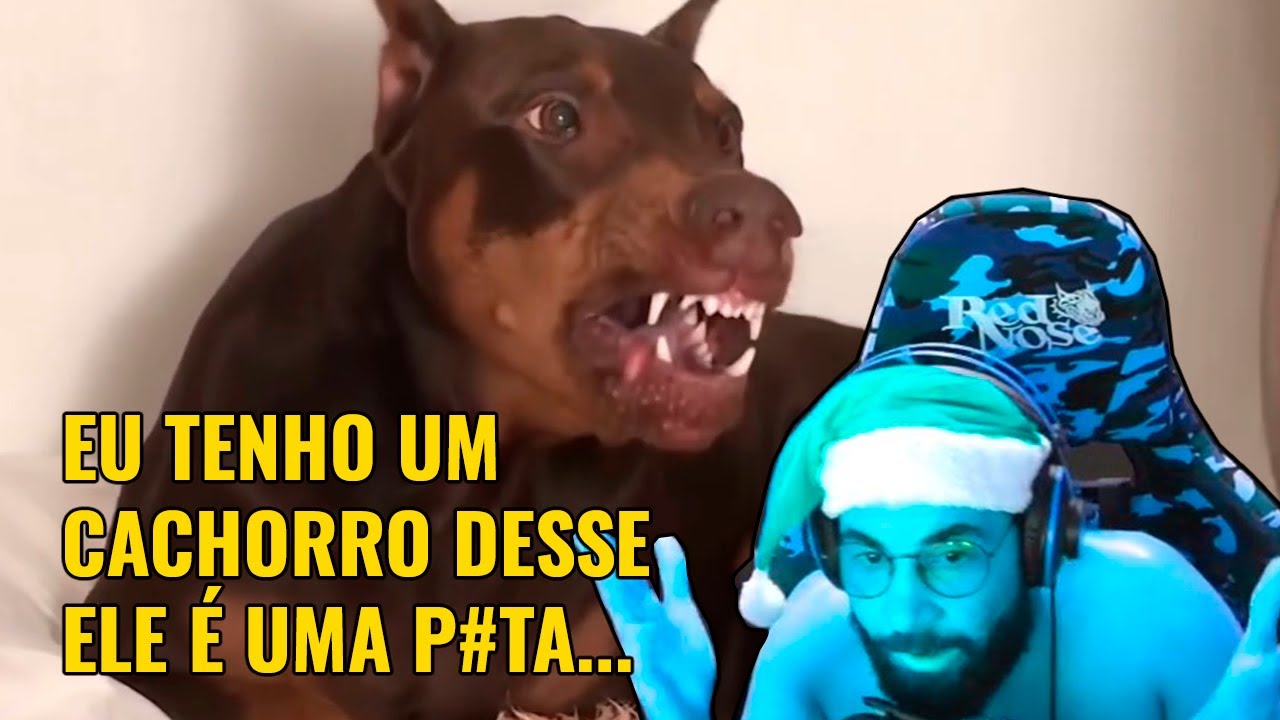 PAI DE PET REV0LT4DO (SMZINHO)