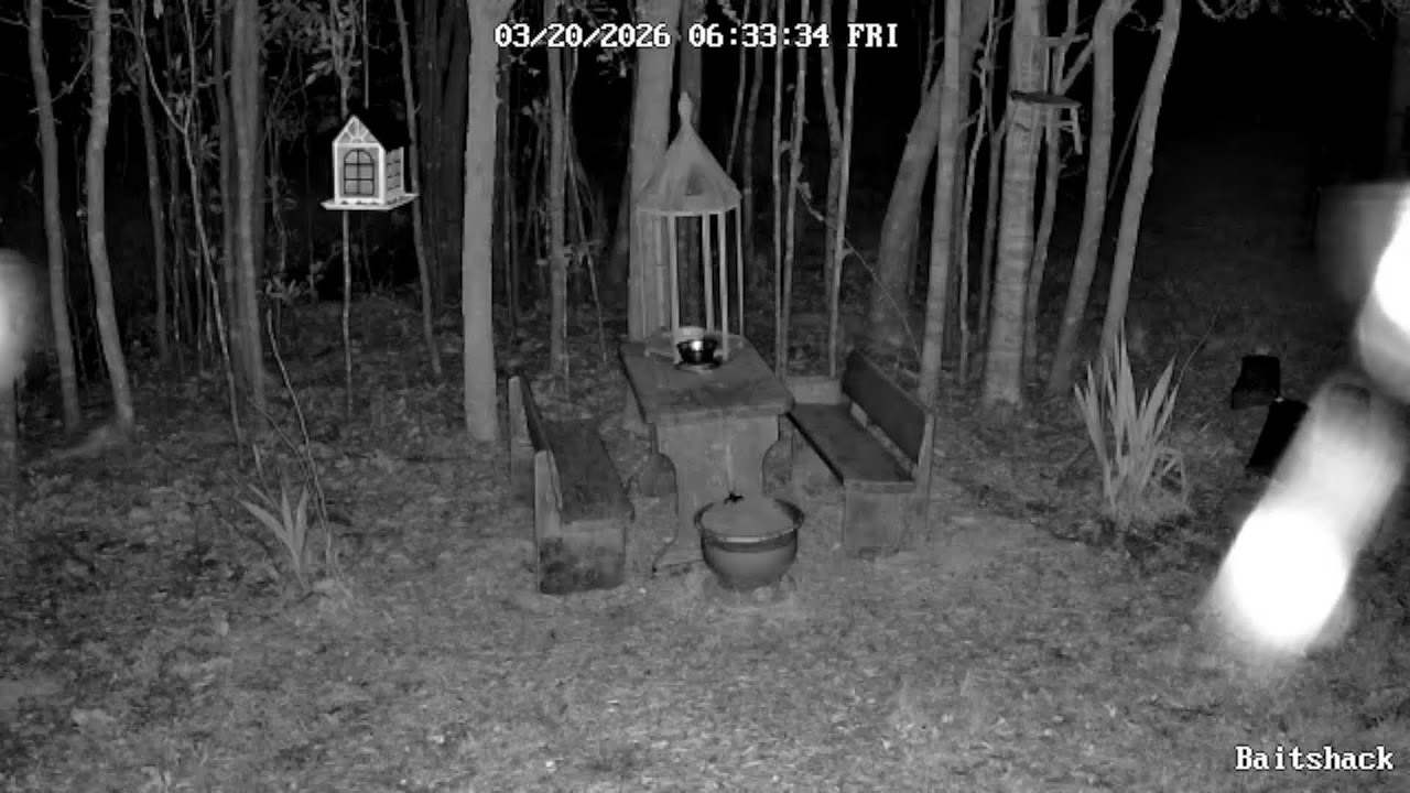 Wildlife View on Brylon Farms.  Thanks for watching!