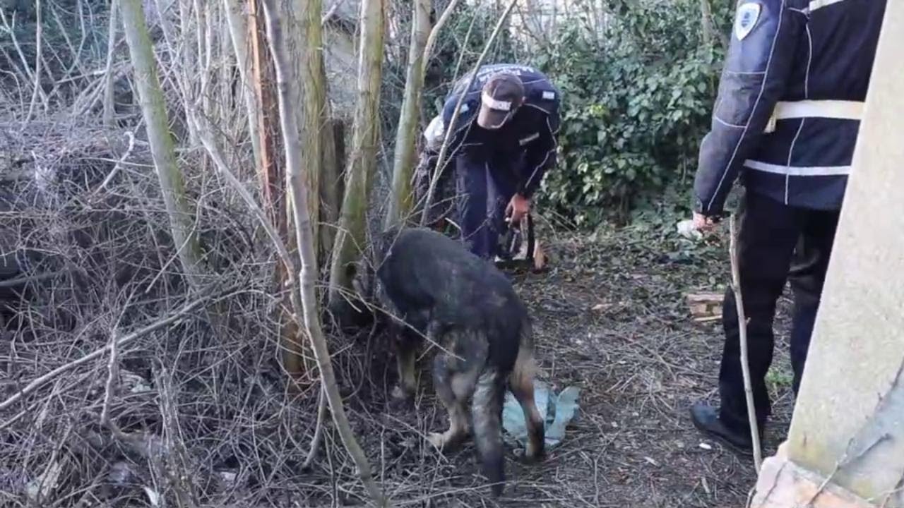 Reggio Emilia, scoperti dalla Municipale i depositi segreti degli spacciatori