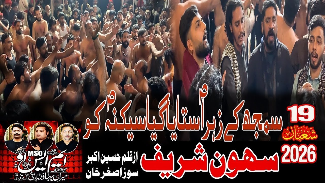 Samajh Ka Zahra S.A.W.W Sataya Gaya Sakina S.A W.W Ko | M.S.O | Mohsin Ali | Mazhar Asghar Khan |