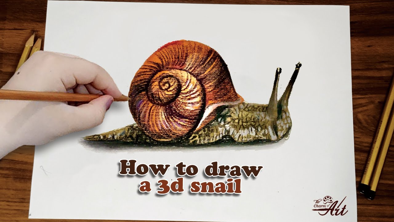How to draw a 3d snail - Drawing a snail step by step tutorial