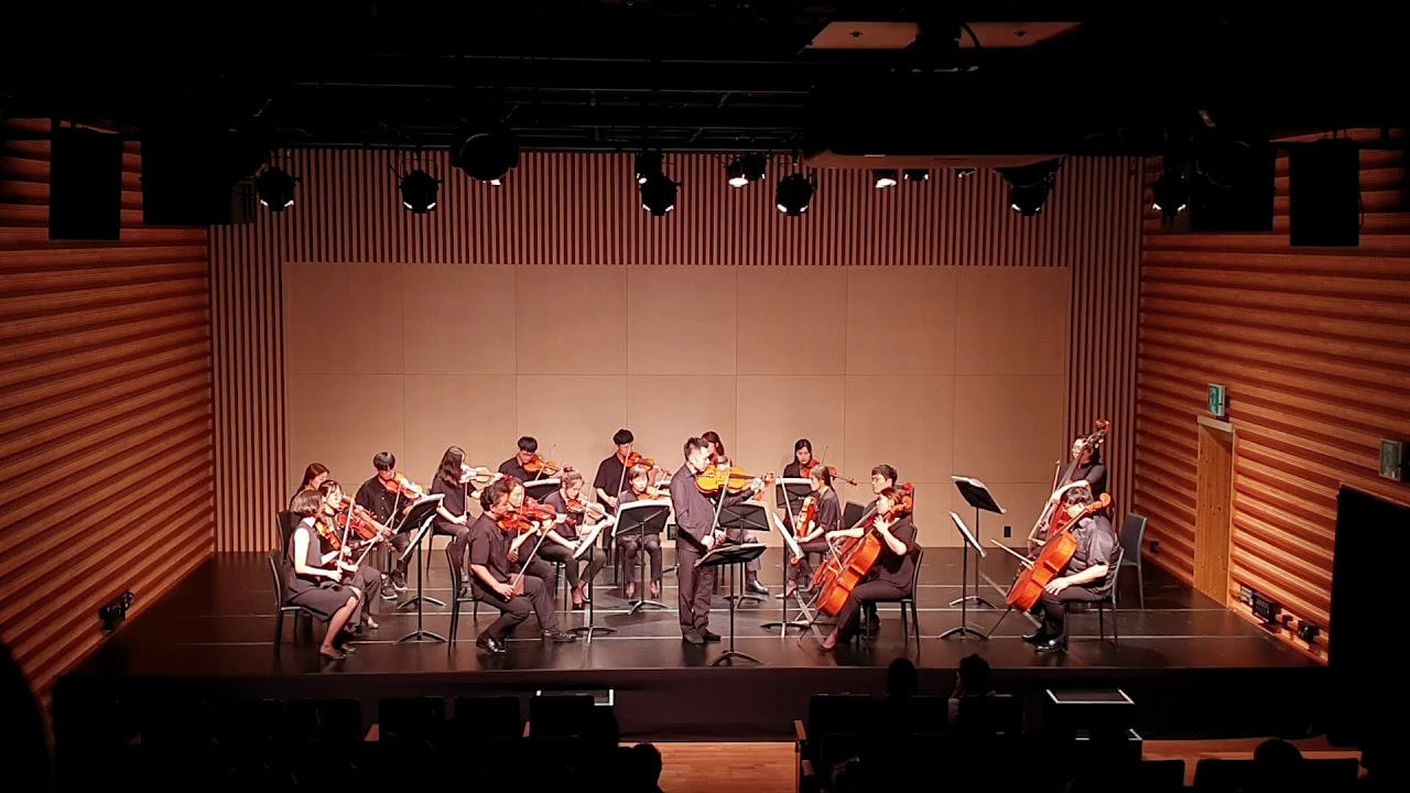 G. Ph. Telemann Viola Concerto 3mov. Andante [박용은/I.M strings]