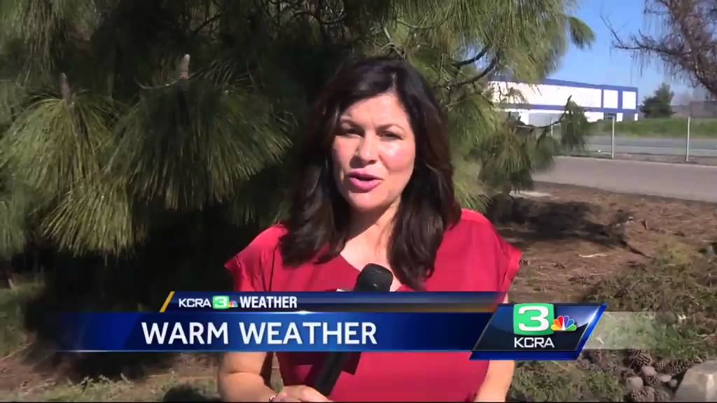 Mosquito and Vector Control officials increase mosquito trappings
