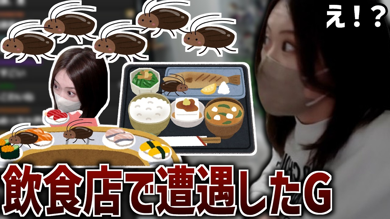 飲食店で遭遇したGについて話す凛子【2026/02/21】