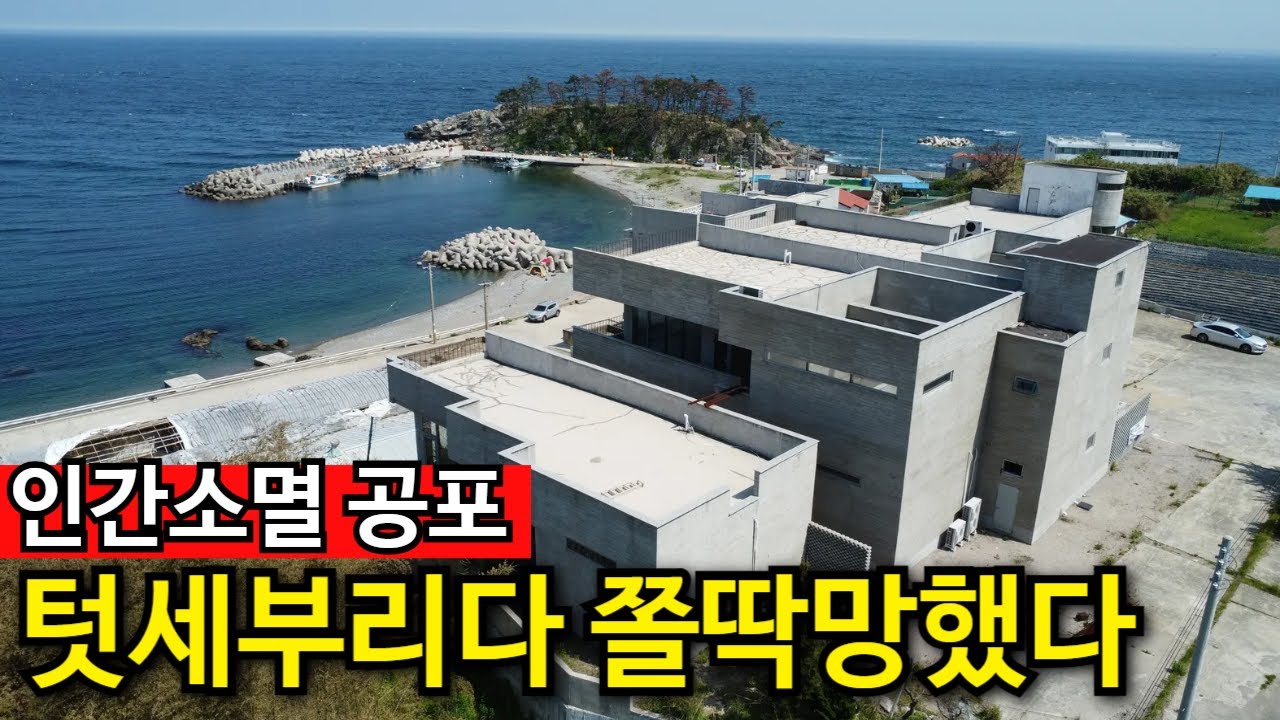 카페, 횟집 다 폐업 | 동해안 인구소멸 무서워 죽겠다 [모음집]