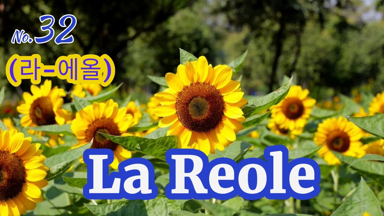 라  에올(La Reole)에서 아름다움 중세시대 및 현대를  만끽하세요!!