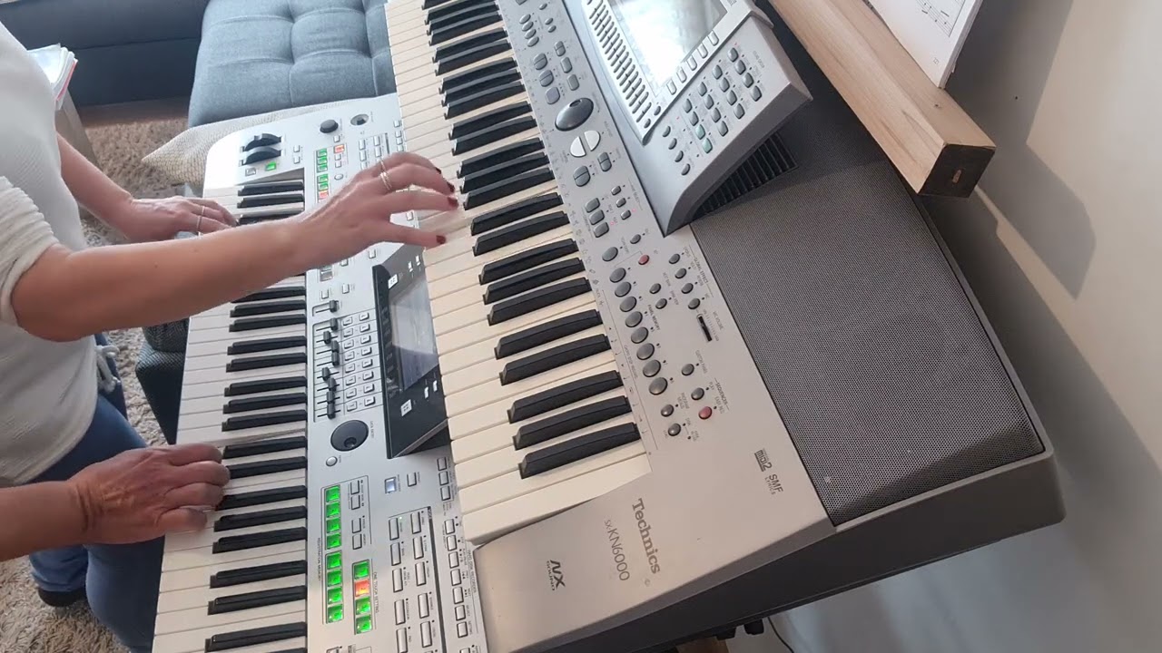 Über den Wolken ( Reinhard Mey ) - Duett  Keyboard Steini + Dagi