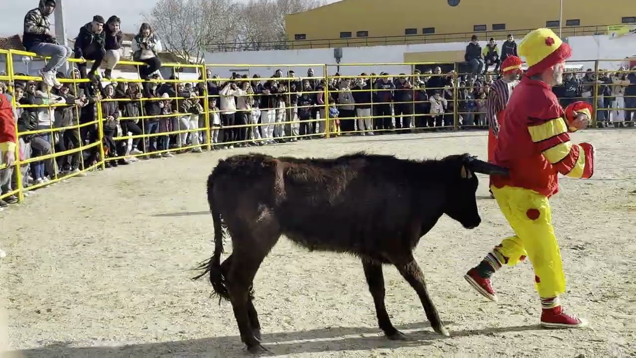 Toureio Cómico - Tró Ló Rós Moita 2026