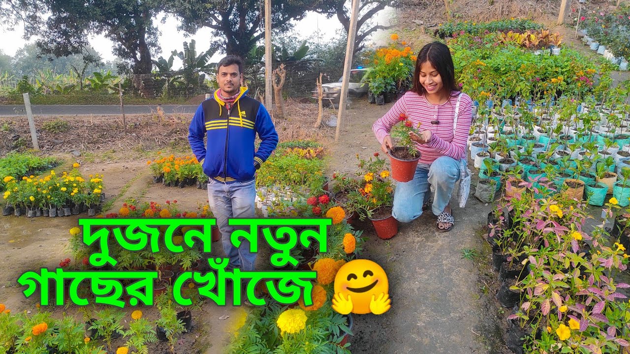 বাড়িতে চোর ঢুকলে তাকে কাটাগাছ ছুঁড়ে মারবো প্ল্যান করে আমি এই গাছটাকে কিনলাম 😂 Nosibpur নার্সারি 🤗