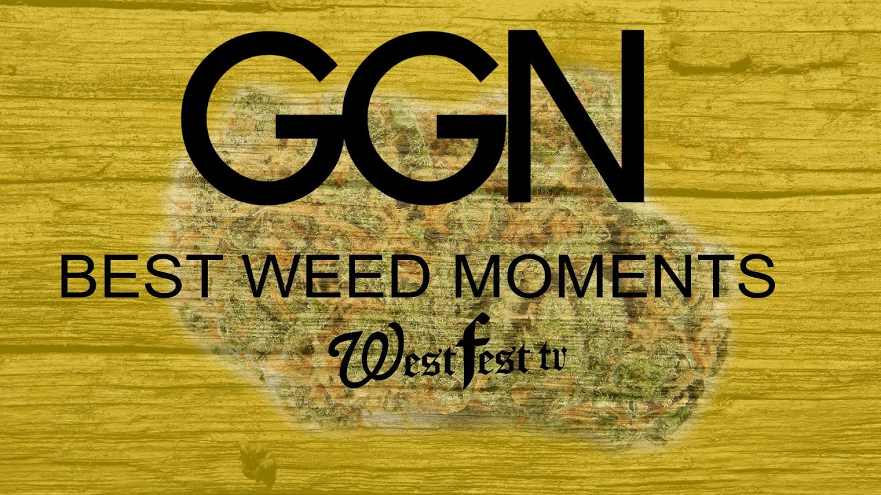 GGN WEED MOMENTS