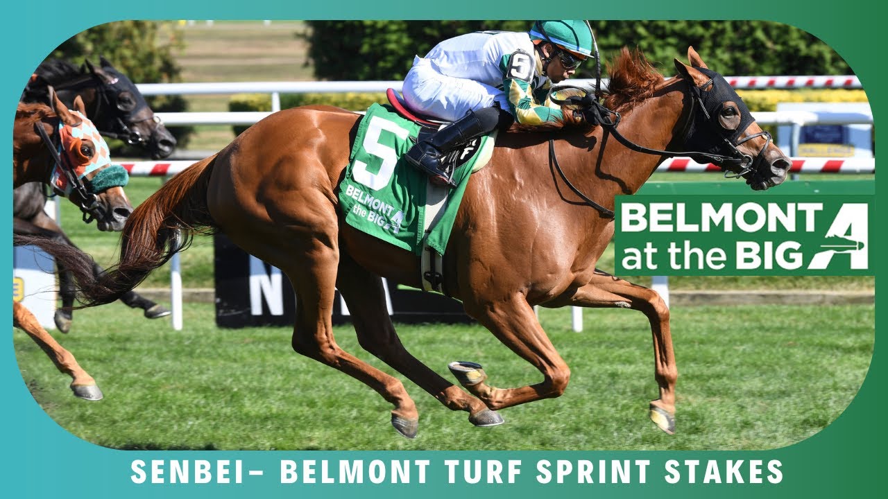Senbei - 2024 - Belmont Turf Sprint Stakes