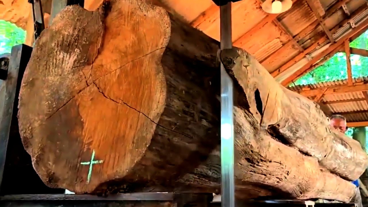 The beautiful charm of high-value large teak wood 