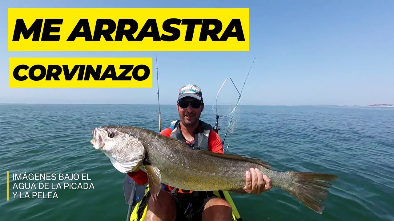 😱 PESCA CORVINA en KAYAK al CURRICÁN con SEÑUELO