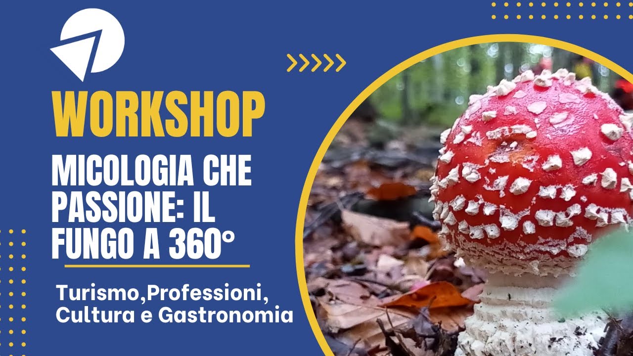 Micologia che passione: Il fungo a 360&deg; - Workshop Forma Futuro TV