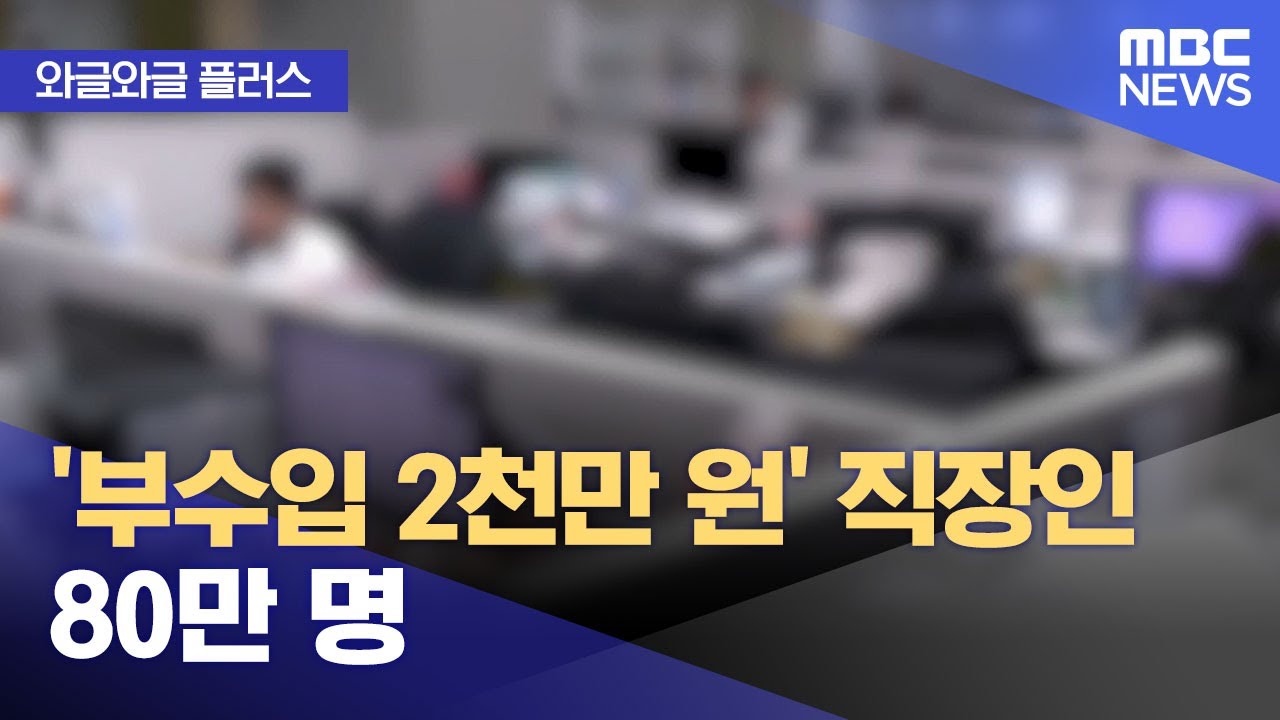 [와글와글 플러스] '부수입 2천만 원' 직장인 80만 명 (2025.02.27/뉴스투데이/MBC)