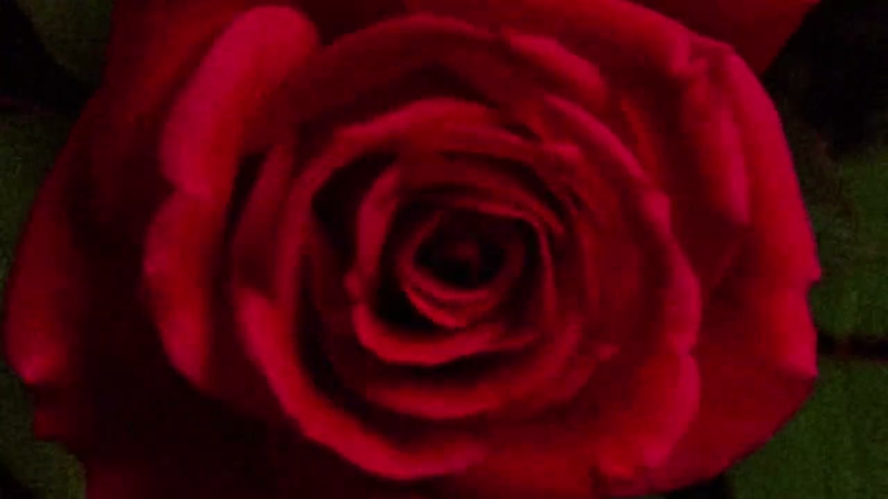 Нюша - Наедине (ultra slowed & reverb)