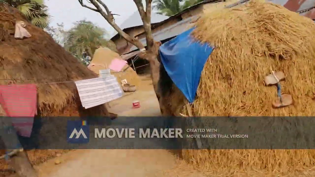 NAOGAON VILLAGE PATH - BEAUTIFUL VILLAGE