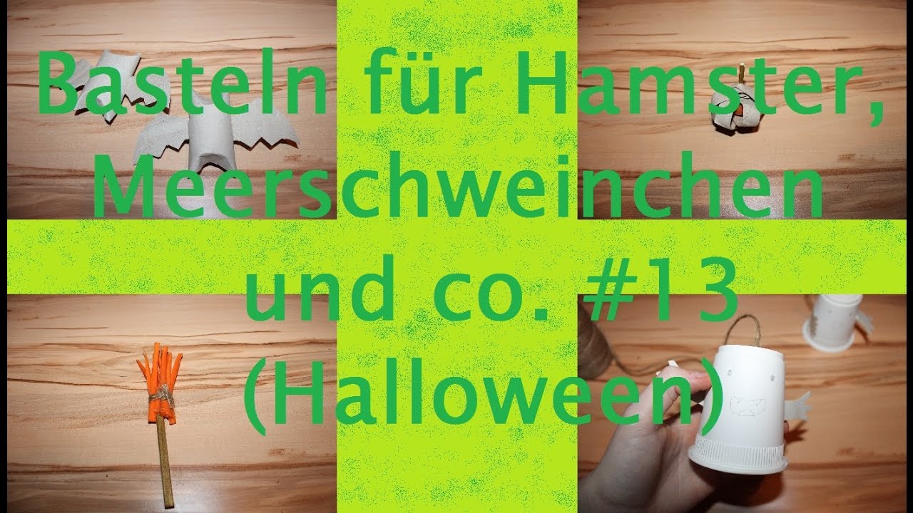 DIY Basteln für Hamster, Meerschweinchen und co. #13 Halloween