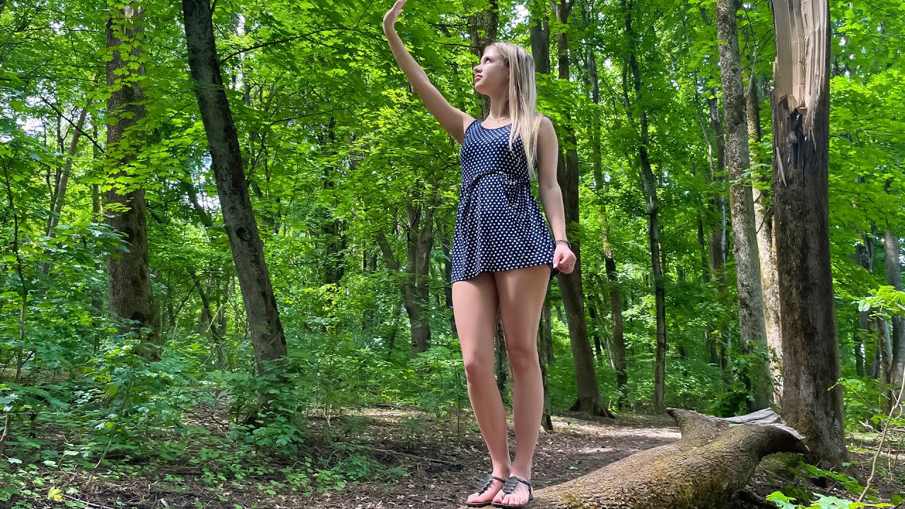 Tranquil Forest Walk | Grounding & Serenity