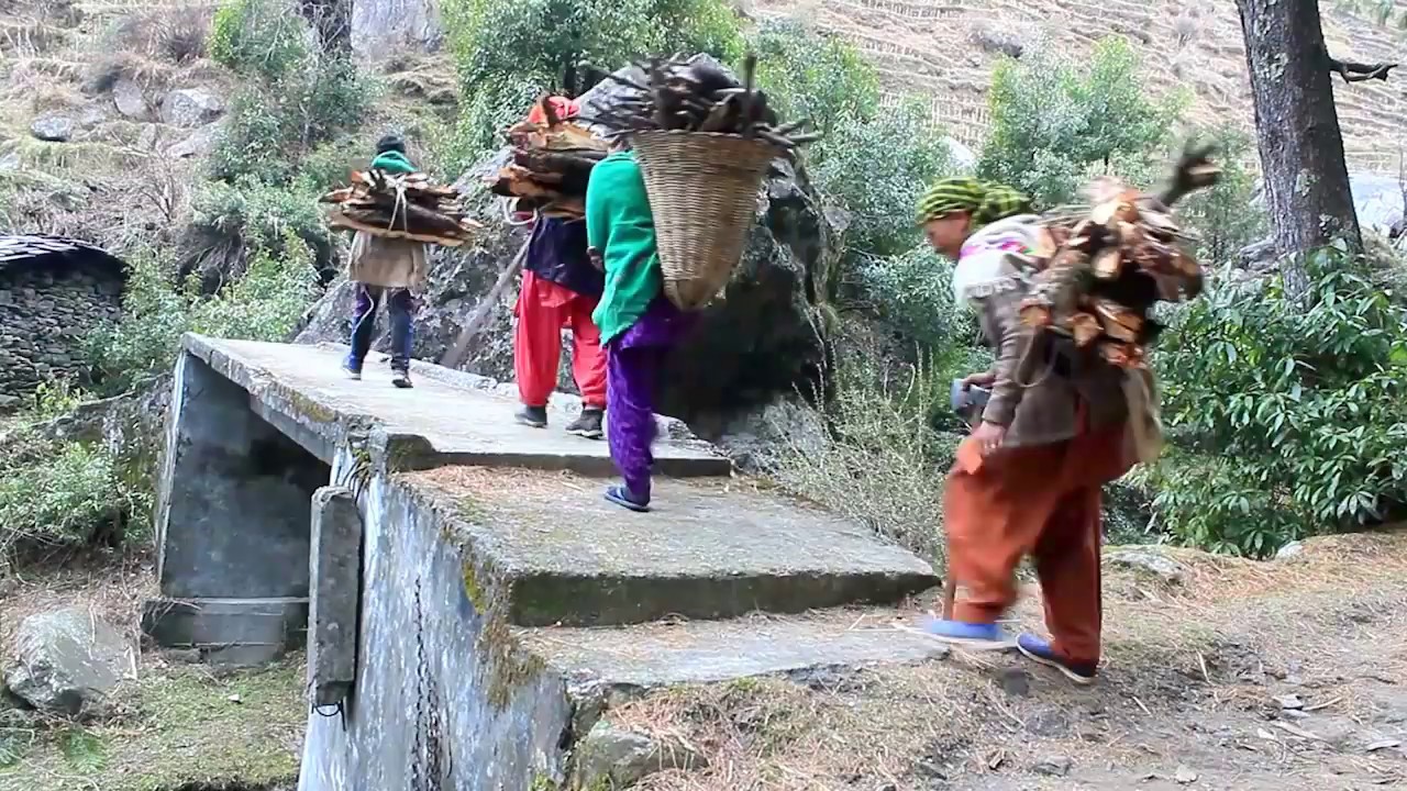 Forest Rights Act awareness video