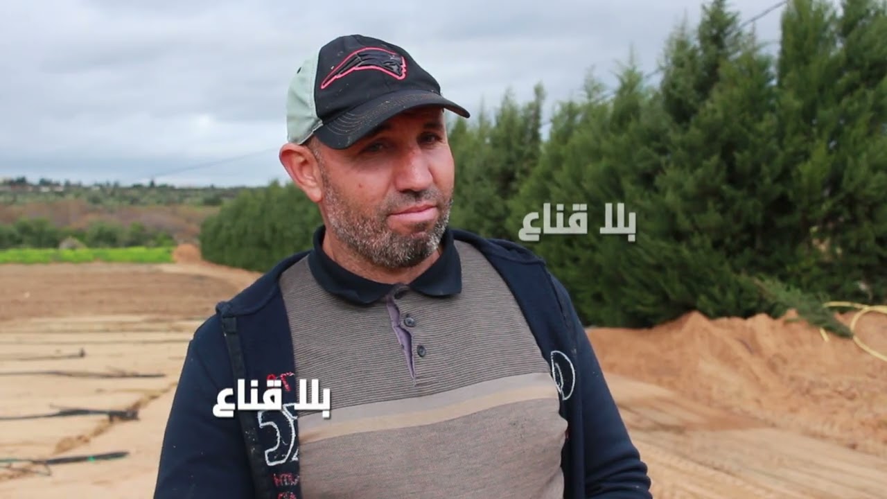 الحقيقة الكاملة وراء 