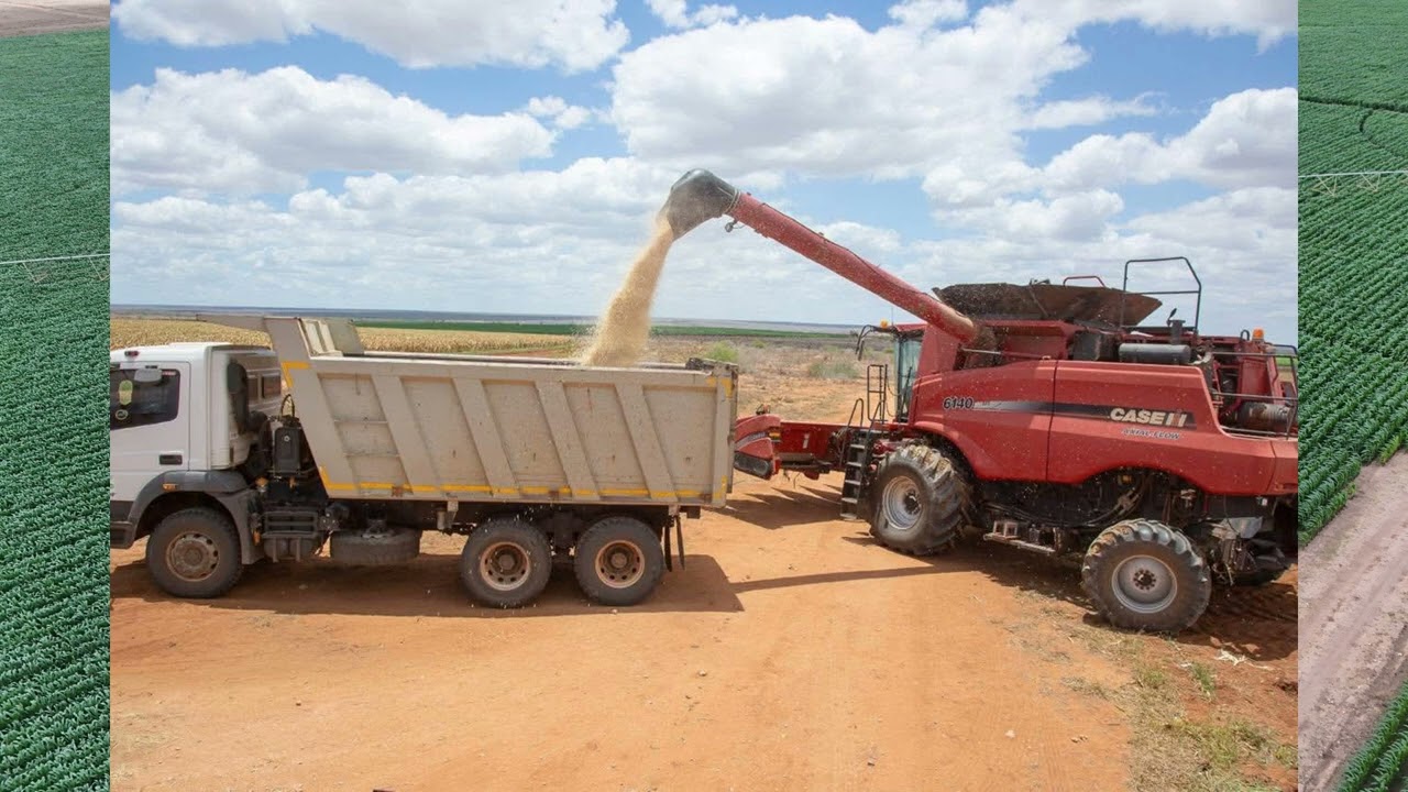 KENYA Galana Kulalu  PROJECT   The Costliest Food Security Bet and the Lessons It Carries