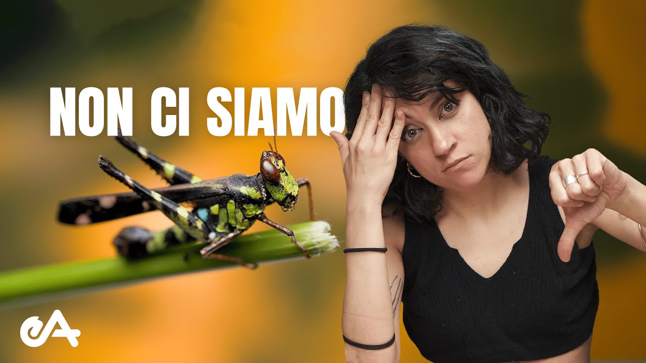 Perché la farina di insetti NON è la soluzione