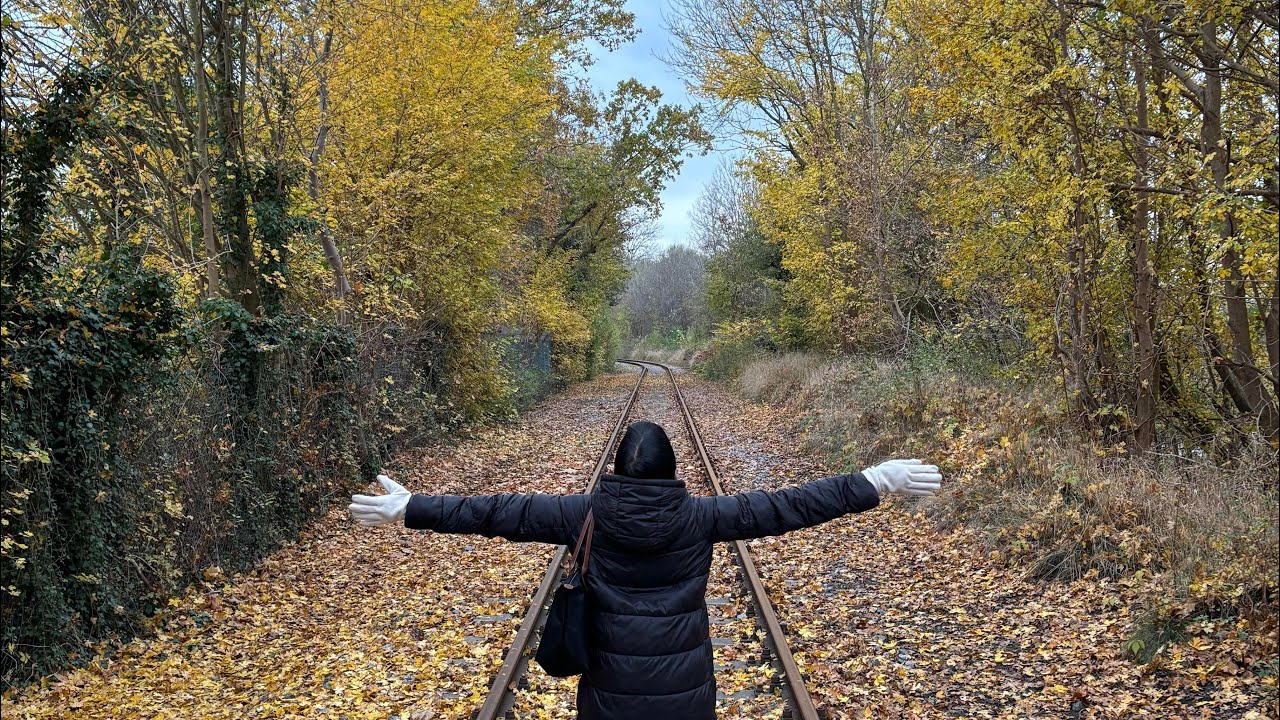 Greifswald Germany 🇩🇪🌲🚴🚴‍♀️ 2025 November 