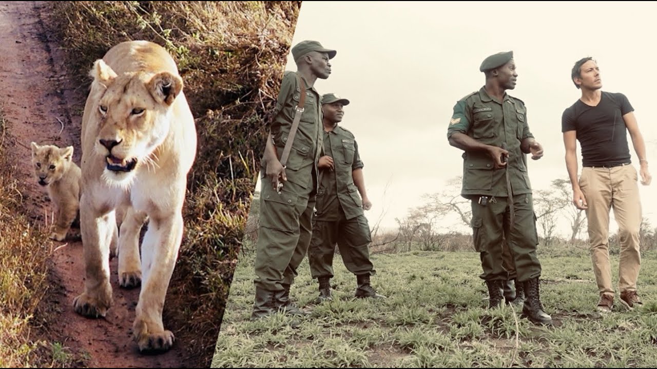 Protecting Wildlife in Africa: On Board with Rangers in Serengeti