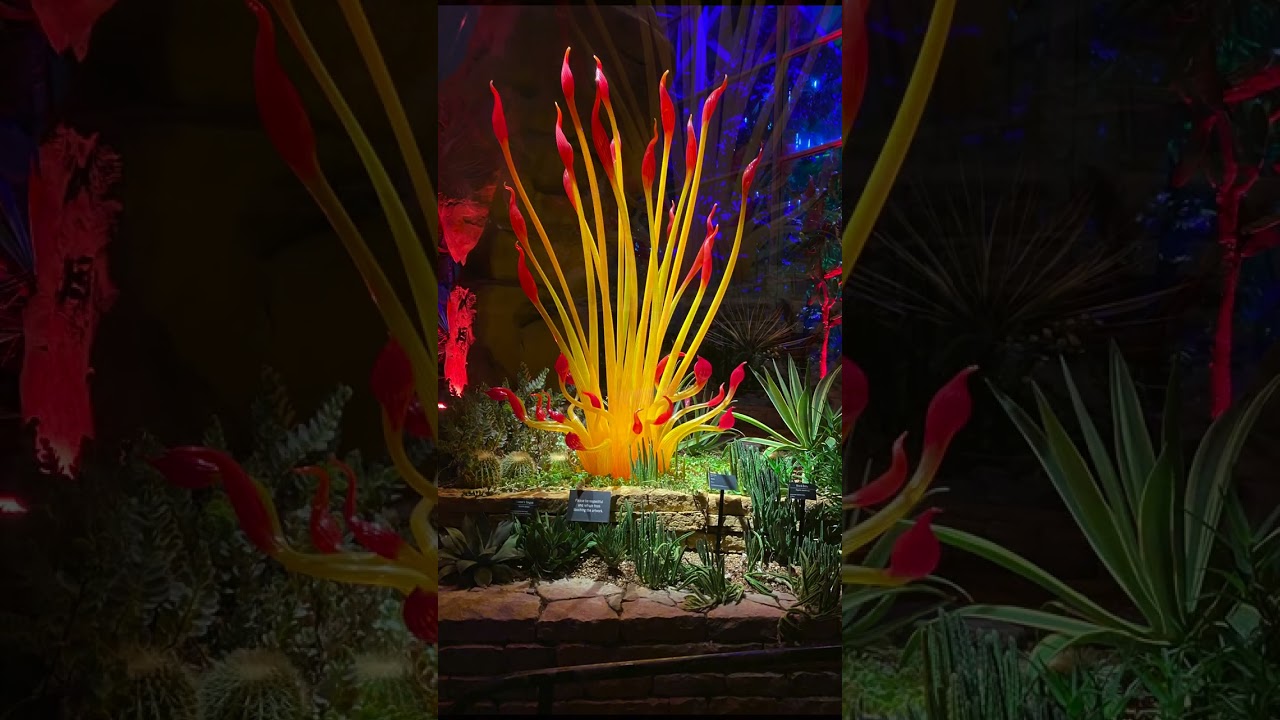 Enchanting Christmas Lights at Franklin Park Conservatory 2023 | iPhone Filmed Adventure!