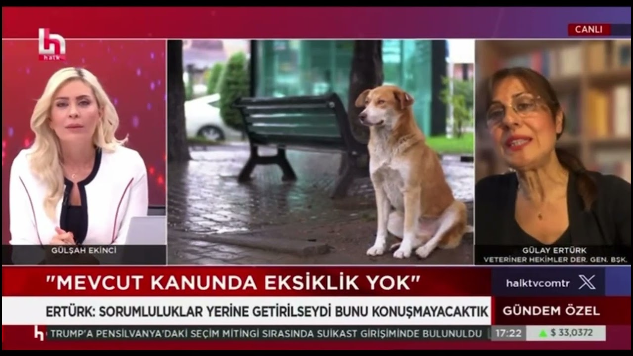 14.07.2024 Hayvanları Koruma Kanunu’nda değişiklik öngören yasa konusunda Halk Tv canlı yayın