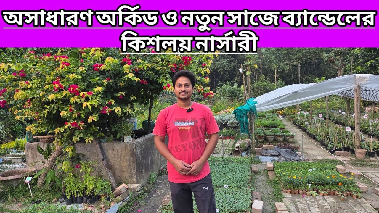 অসাধারণ অর্কিড ও নতুন সাজে ব্যান্ডেলের কিশলয় নার্সারি||Bandel Kishalaya Nursery Tour||