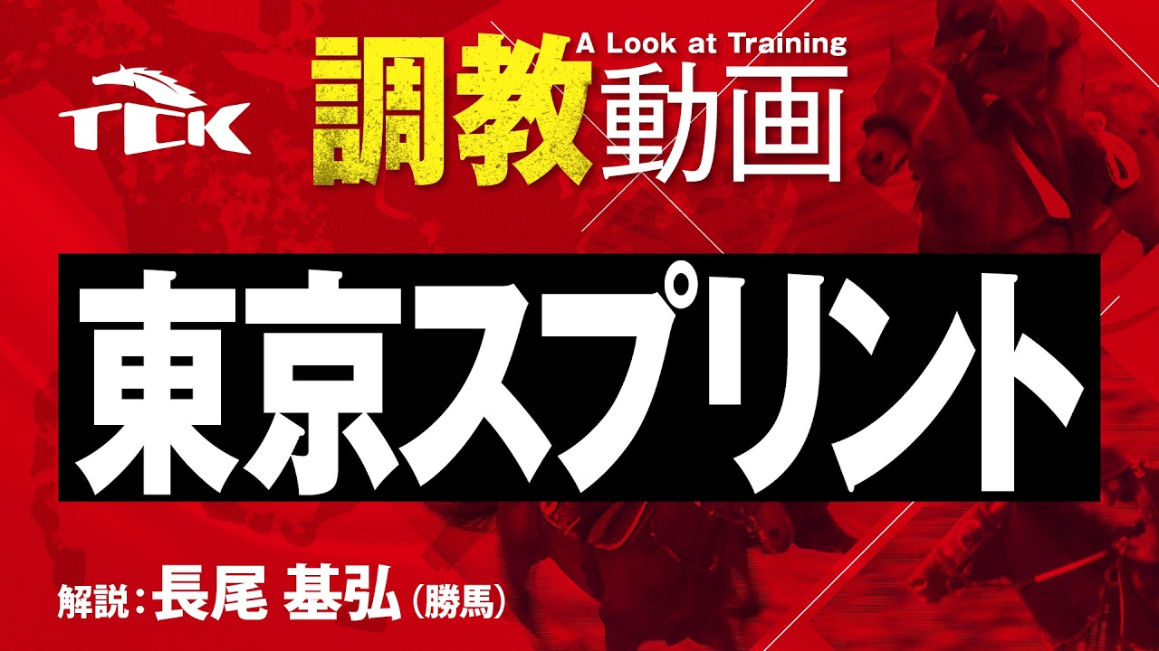 【第37回 東京スプリント(JpnIII)】の調教追い切り動画