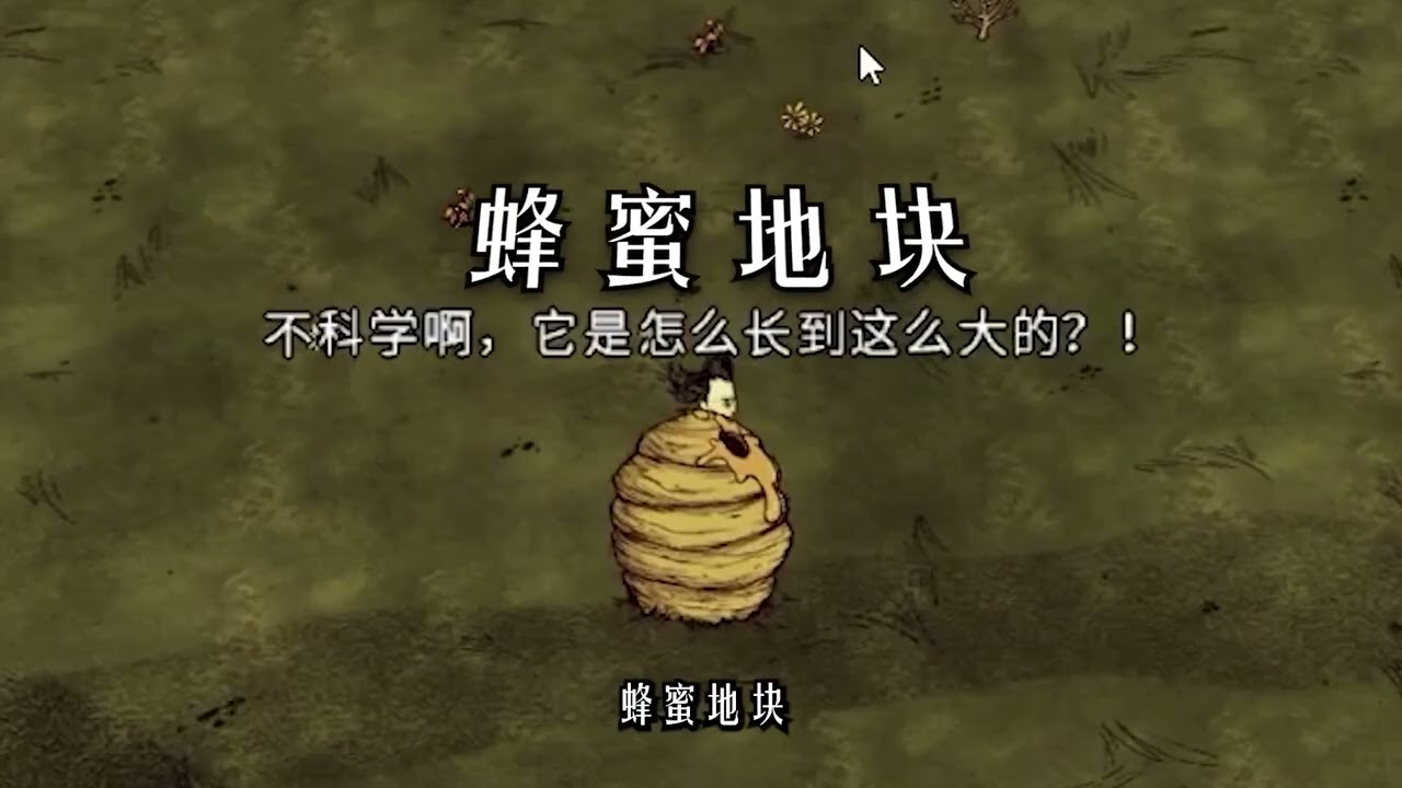 #饥荒联机版 萌新入门认识世界篇1：地表常见标志点位介绍#新手必看 #新手入门 #饥荒新手攻略 #生存游戏