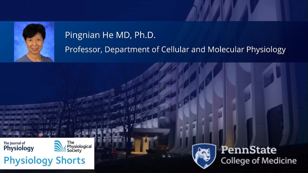 Physiology Shorts: Vascular inflammation under disease conditions