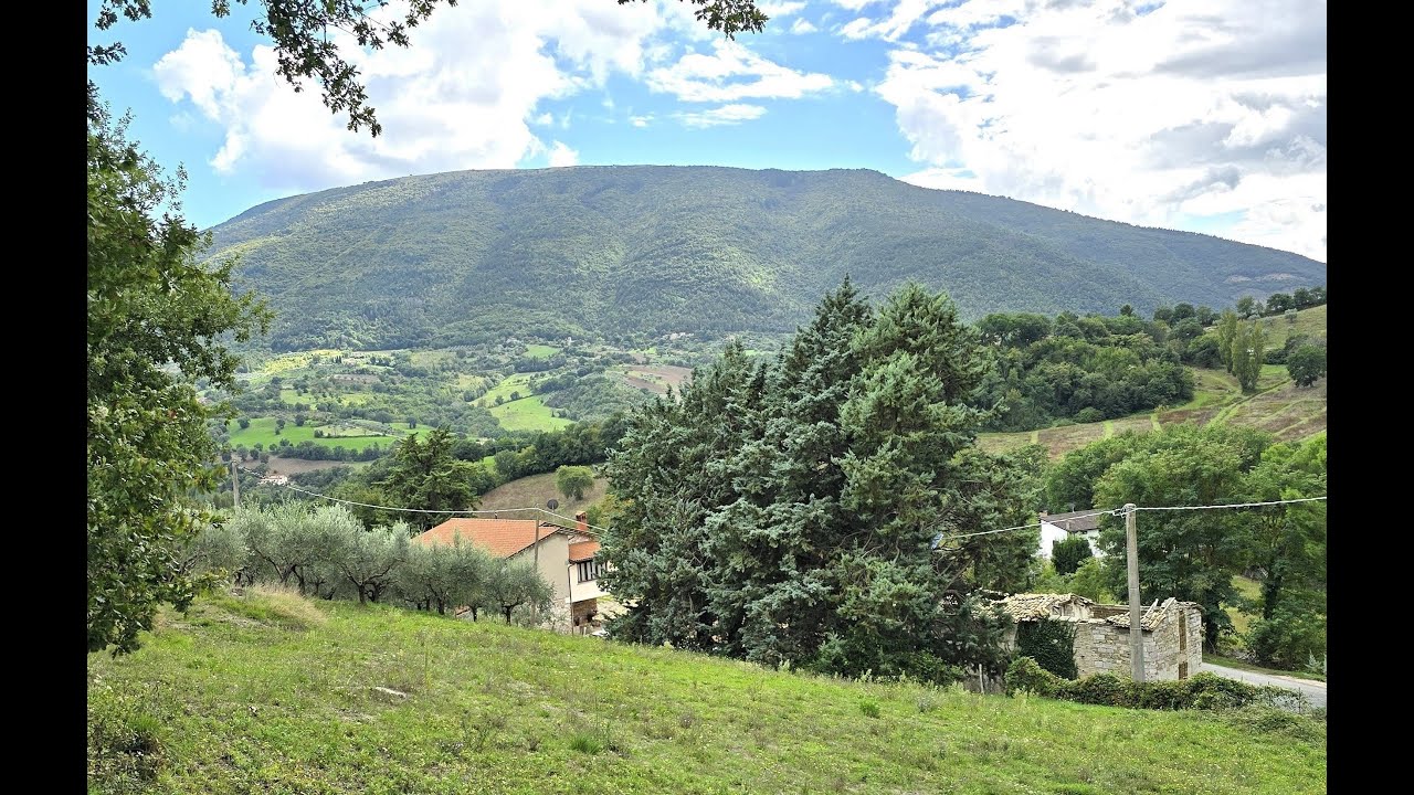 AGRITURISMO IN VENDITA ASSISI, UMBRIA