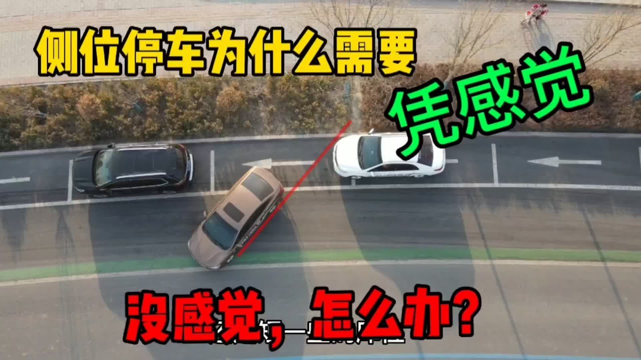 耐心看完，再做评价#汽车陪练 #新手上路 #驾驶技术 #侧位停车