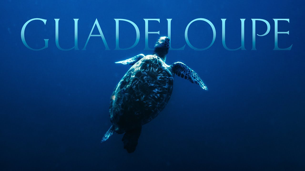 Guadeloupe - Lumix S5II | Cinematic Travel Video