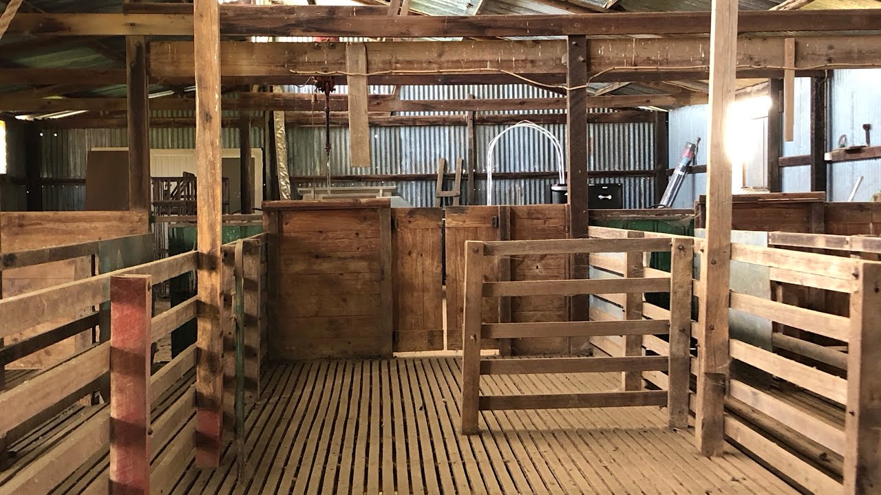 (356) The Old Shearing Shed | Australian farm tour part 2