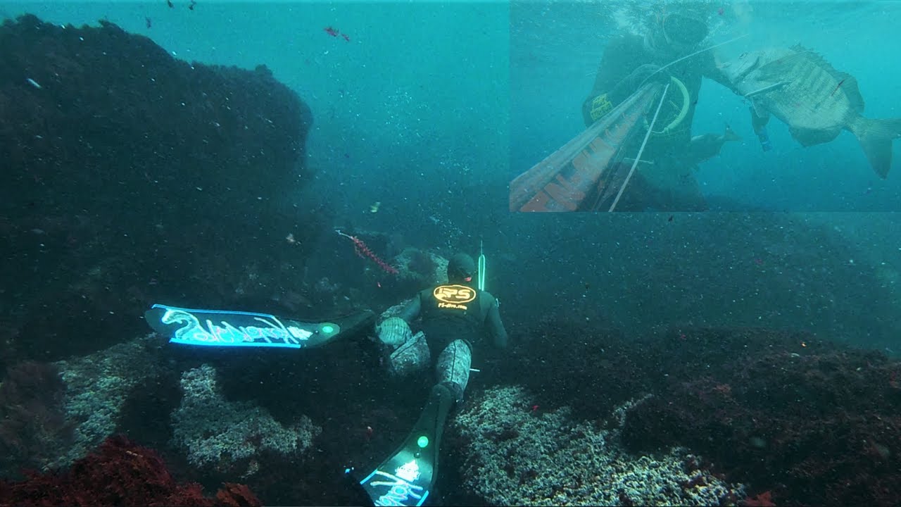 Pesca Submarina: Buena PESCA  probando NUEVO CHALECO
