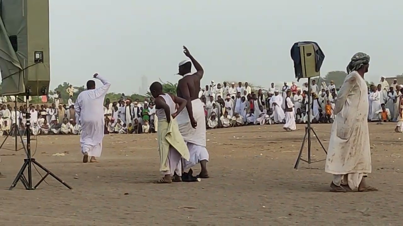 حفله أولاد التاج ود ادريس ام الطيور