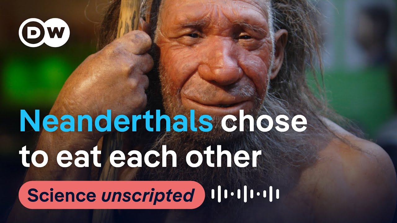 Neanderthals chose to eat each other | Science Unscripted Podcast