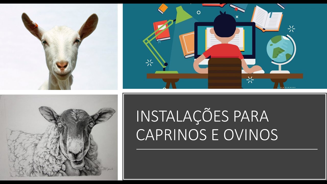 Instalações para Caprinos e Ovinos parte 1