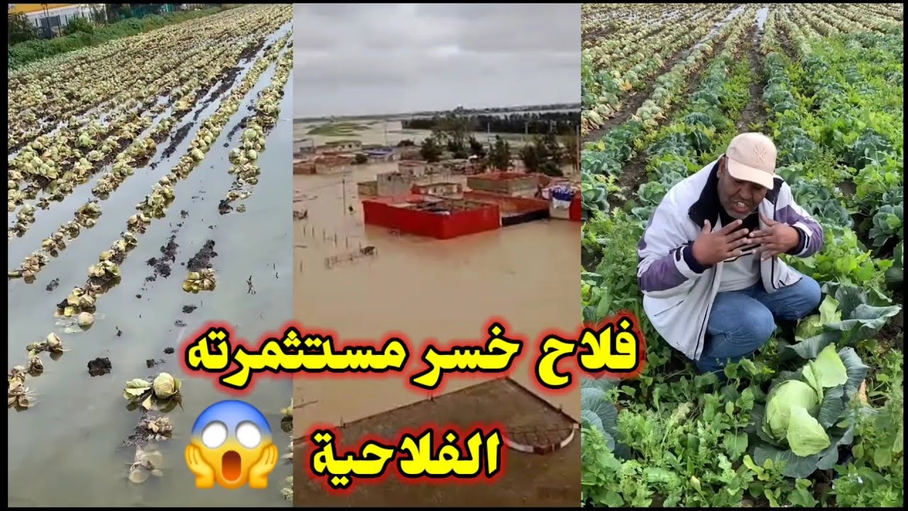  واد سبو إقليم سيدي قاسم يتسبب خسرة