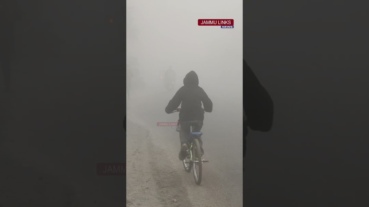 Dense Fog Engulfs Jammu, Visibility Drops Sharply