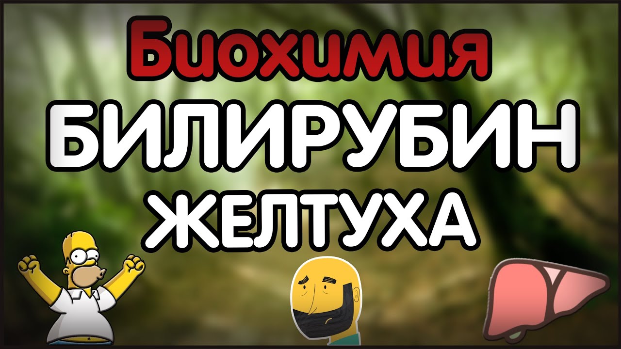 Биохимия. Лекция 31. Обмен гемоглобина. Типы желтух.