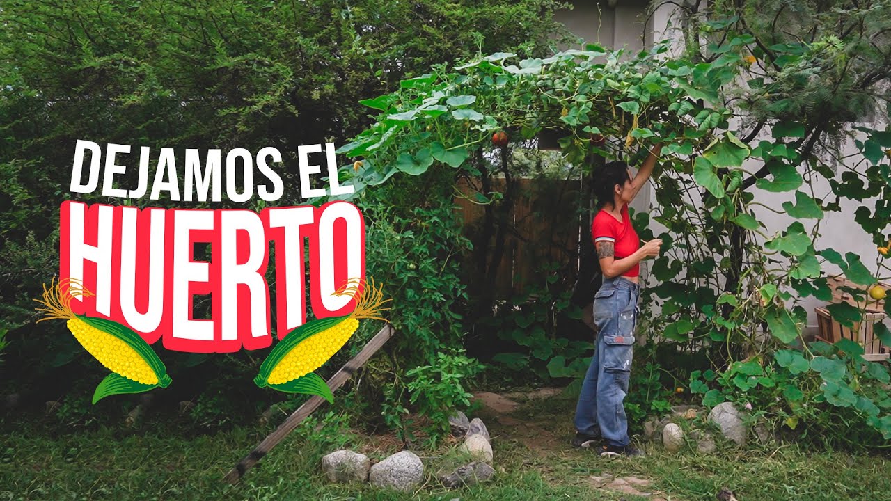 🍅 DEJAMOS LA HUERTA | ¿cómo? 👩‍🌾