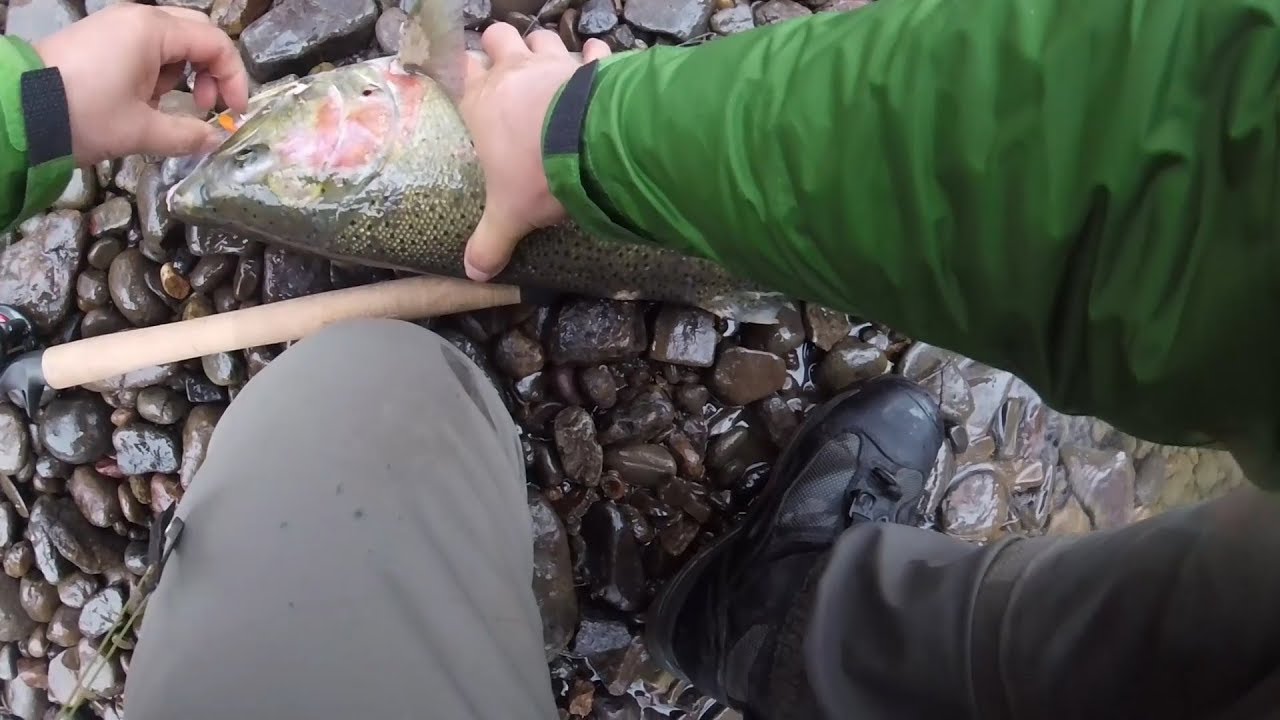 Drifting Egg Flies for Steelheads www.FishingWa.us